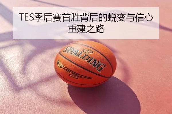 TES季后赛首胜背后的蜕变与信心重建之路