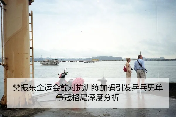 樊振东全运会前对抗训练加码引发乒乓男单争冠格局深度分析